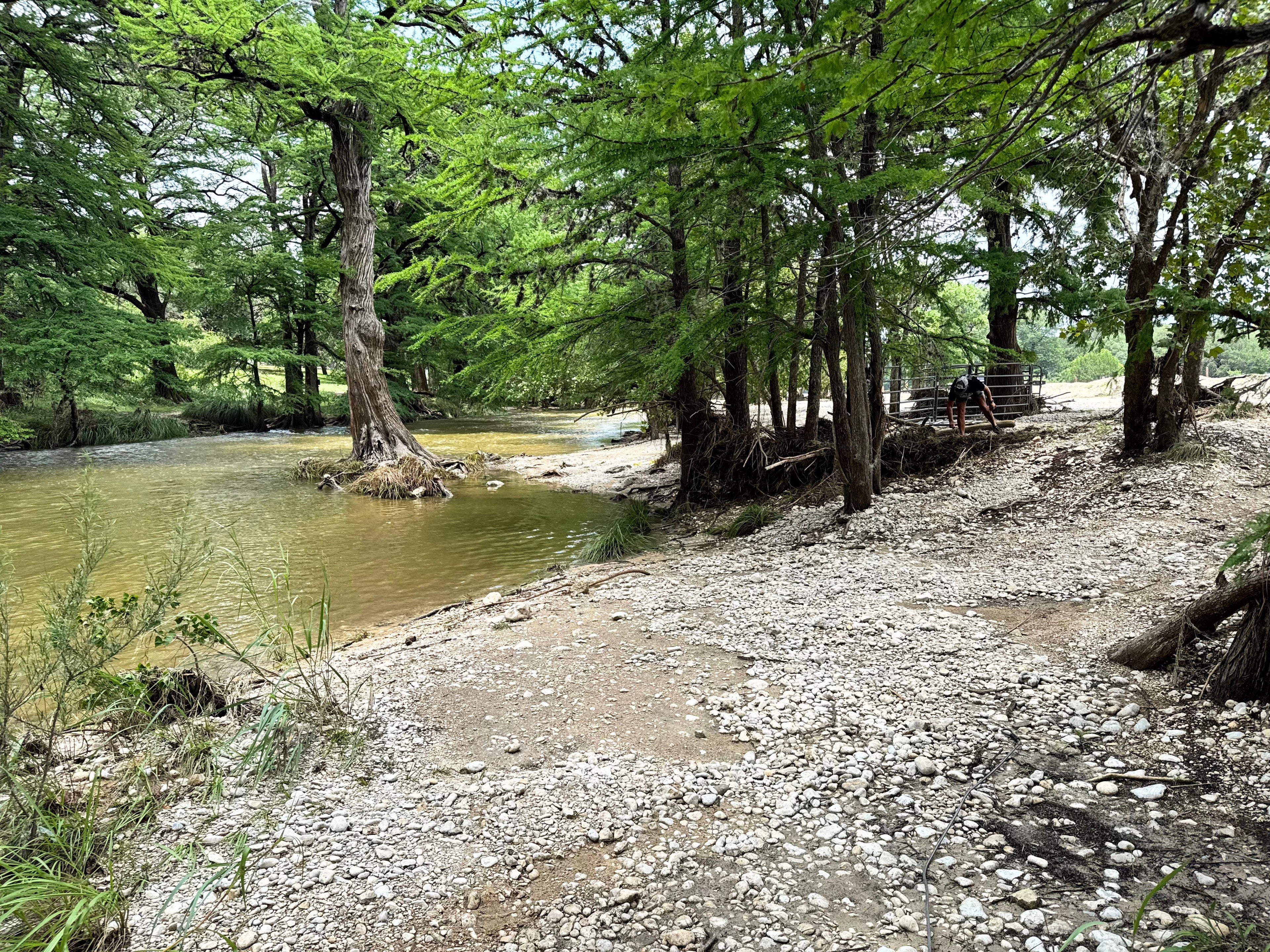 river with trees and a bench on a pebbly shore